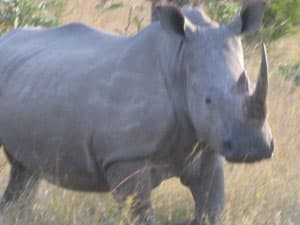 Nicole Hassoun travel archive photo from Africa