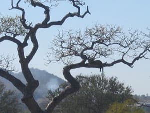 Nicole Hassoun travel archive photo from Africa