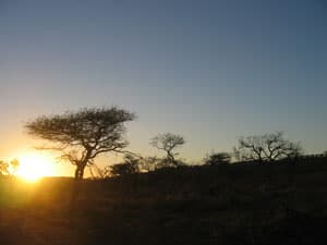 Nicole Hassoun travel archive photo from Africa