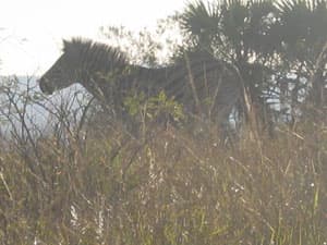 Nicole Hassoun travel archive photo from Africa