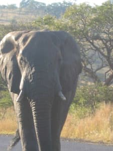 Nicole Hassoun travel archive photo from Africa