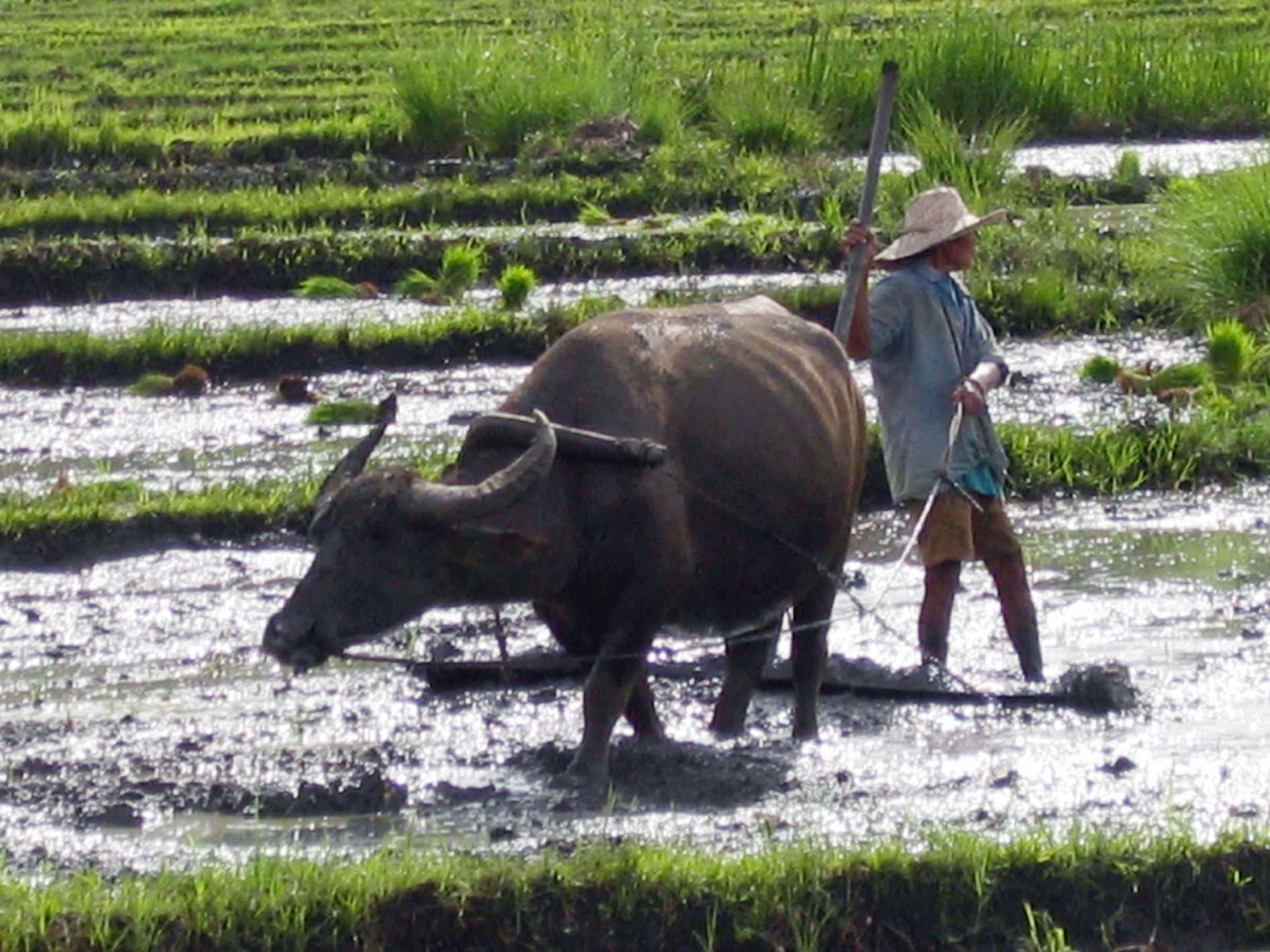 Nicole Hassoun travel archive photo from Asia