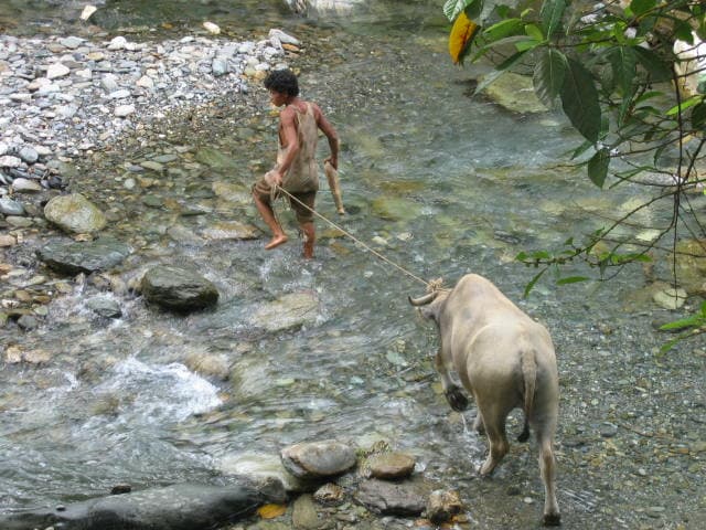 Nicole Hassoun travel archive photo from Asia