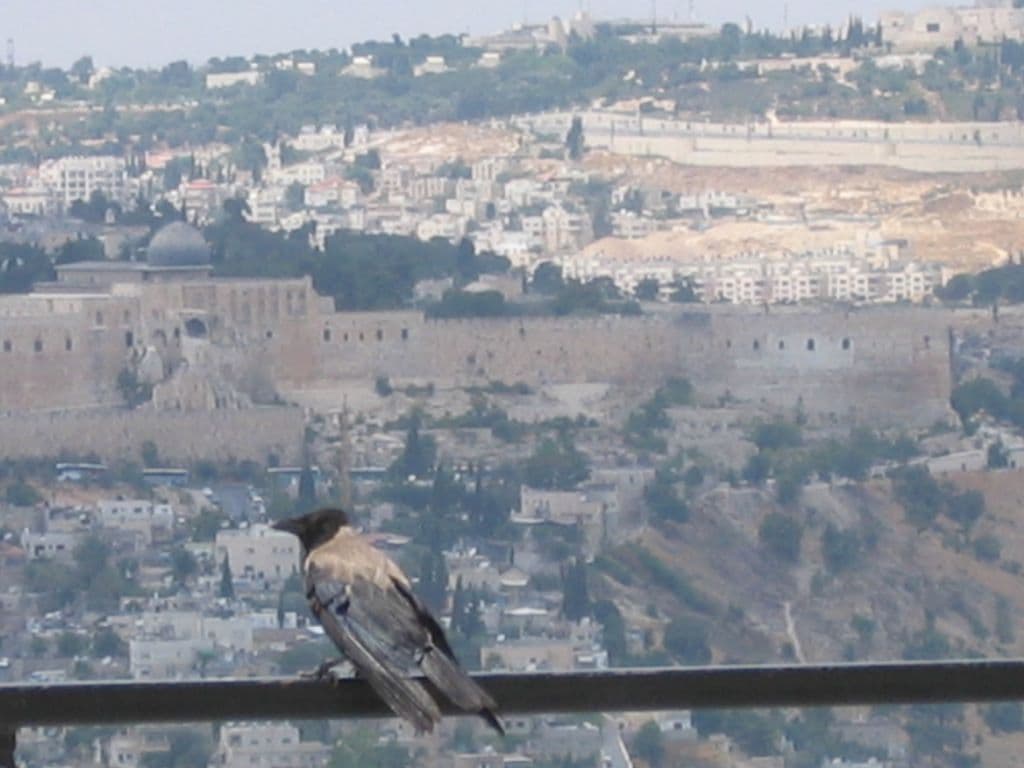 Nicole Hassoun travel archive photo from Middle East